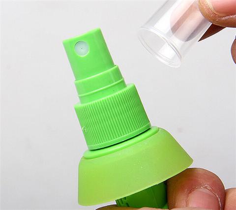 Free Shipping - Lemon watermelon Juice Sprayer