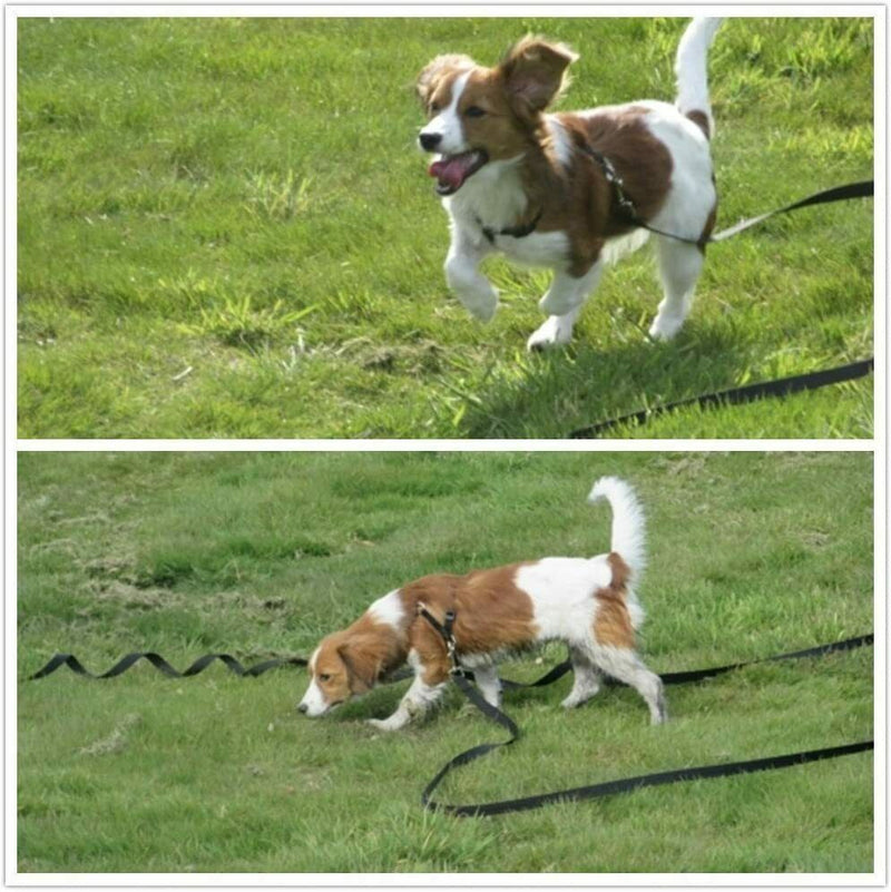 Free shipping-1.8M-30M Nylon Long Durable Dog Tracking Leash