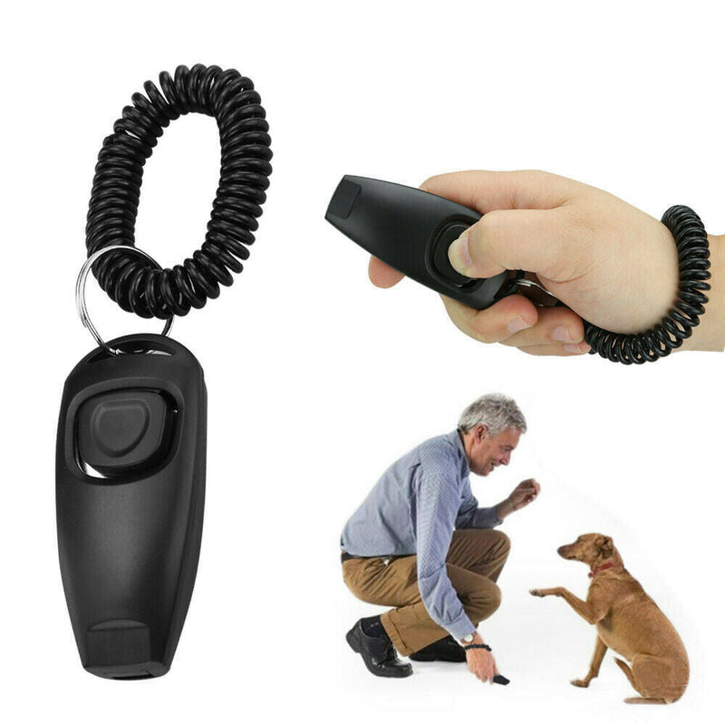 Free shipping-2in1 Pet Clicker with Keychain