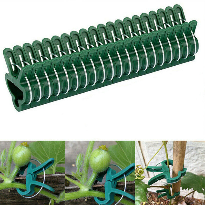 Free shipping- 20PCS Garden Plant Clips Tomato Tie Stem Orchid Support Weatherproof Grow Training