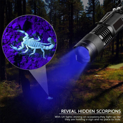 UV Ultra Violet LED Flashlight Blacklight Light 395 nM Inspection Lamp Torch